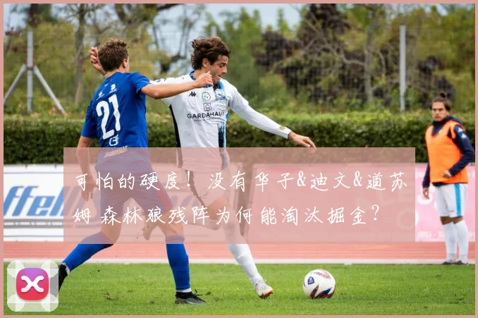 可怕的硬度！没有华子&迪文&道苏姆 森林狼残阵为何能淘汰掘金？
