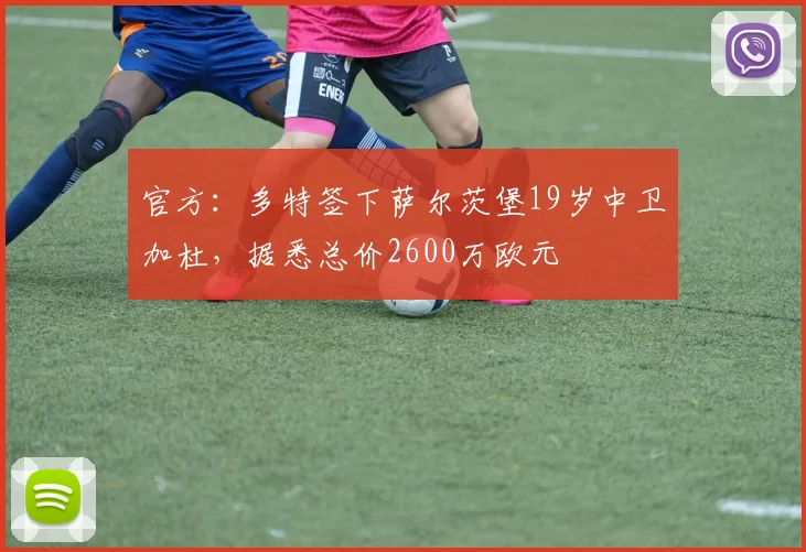 官方：多特签下萨尔茨堡19岁中卫加杜，据悉总价2600万欧元
