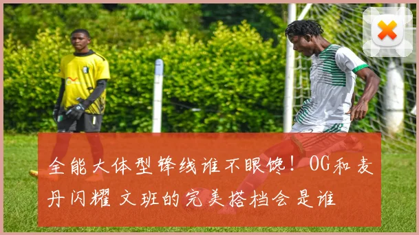 全能大体型锋线谁不眼馋！OG和麦丹闪耀 文班的完美搭档会是谁
